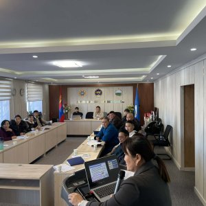 НҮББХХ-ийн оролцоо төслийн сургалт Дашинчилэн суманд боллоо