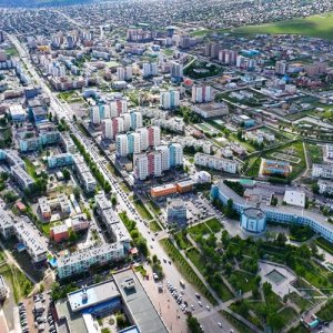 1558 ш мод,  4970 мк зүлэгт талбайд нөхөн сэргээлт хийнэ